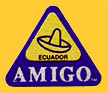 AMIGO-E-0312