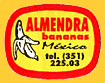 Almendra-Mex-1878