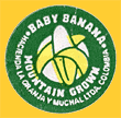 Baby-Banana-1955