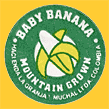 Baby-Banana-2126