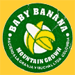 Baby-Banana-2128