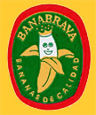 Banabrava-0577