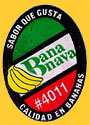 Bananava-0226