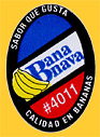 Bananava-0330