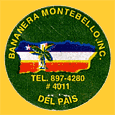 Bananera-Monte-1902