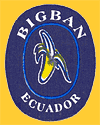 Bigban-E-2164