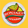Bonanza-E-1016