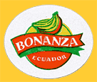 Bonanza-E-1434