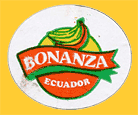 Bonanza-E-1471
