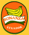 Bonanza-E-2338
