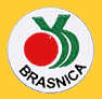 Brasnica-1421