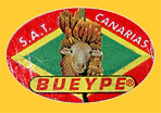 Bueype-0476