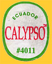 CALYPSO-E-4011-0261