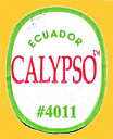 CALYPSO-E-4011-0879