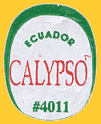 CALYPSO-E-4011-1258