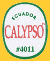 CALYPSO-E-4011-1392