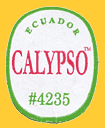 CALYPSO-E-4235-1131