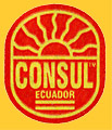 CONSUL-E-0043