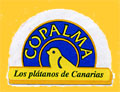 COPALMA-0045