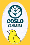 COSLO_CANARIAS-0564