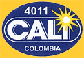 Cali-C4011-2413