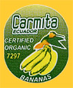 Carmita-E-7297-0799