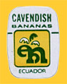 Cavendish-E-1010