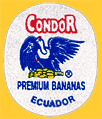 Condor-E-2290