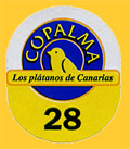 Copalma-28-0824