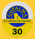 Copalma-30-0823