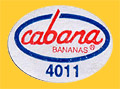 cabana-4011-0396