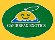 caribbean-Exo-1139