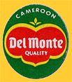 Del-Monte-Cam-0761