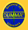 Dumma-CR-0880