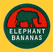 ELEPHANT-0812