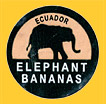 ELEPHANT-E-0094