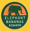 ELEPHANT-E-0896