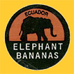 ELEPHANT-E-1039