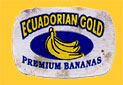 Ecuadorian-0093