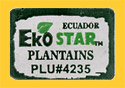 EkoStar-4235-0606