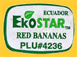 EkoStar-4236-0499