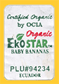 EkoStar-94234-1376
