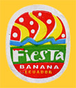 Fiesta-E-1041