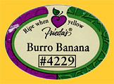 Friedas-Burro-4229-0610
