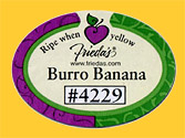 Friedas-Burro-4229-0927