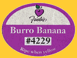 Friedas-Burro-4229-1334