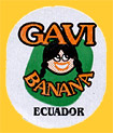 GAVI-E-0745
