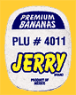Jerry-Mex4011-1748