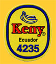 Keny-E4235-0818