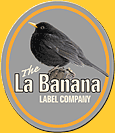 LaBanana_birds_blackbird